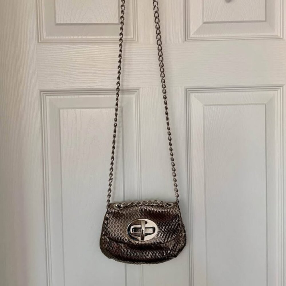 Stuart Weitzman Metallic Snakeskin Chain Bag – Silver Evening Clutch - Picture 3 of 8